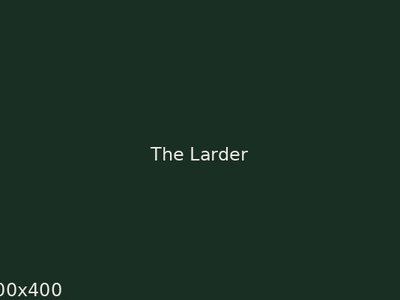SS_SERVICE_LARDER